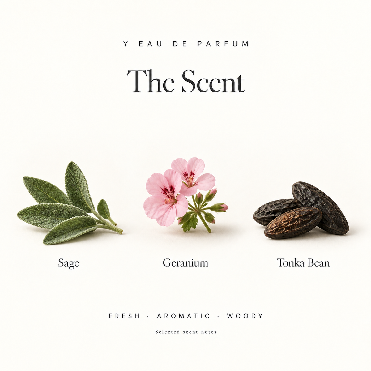 Y Perfume & Body Collection By Yves Saint Laurent