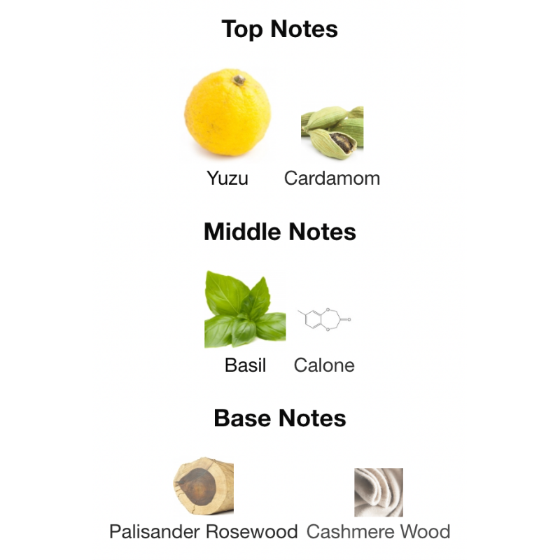 1881 Eau De Toilette Spray by Nino Cerruti - Classic Men's Fragrance with a Harmonious Blend of Woody and Spicy Notes, Elegant Glass Bottle