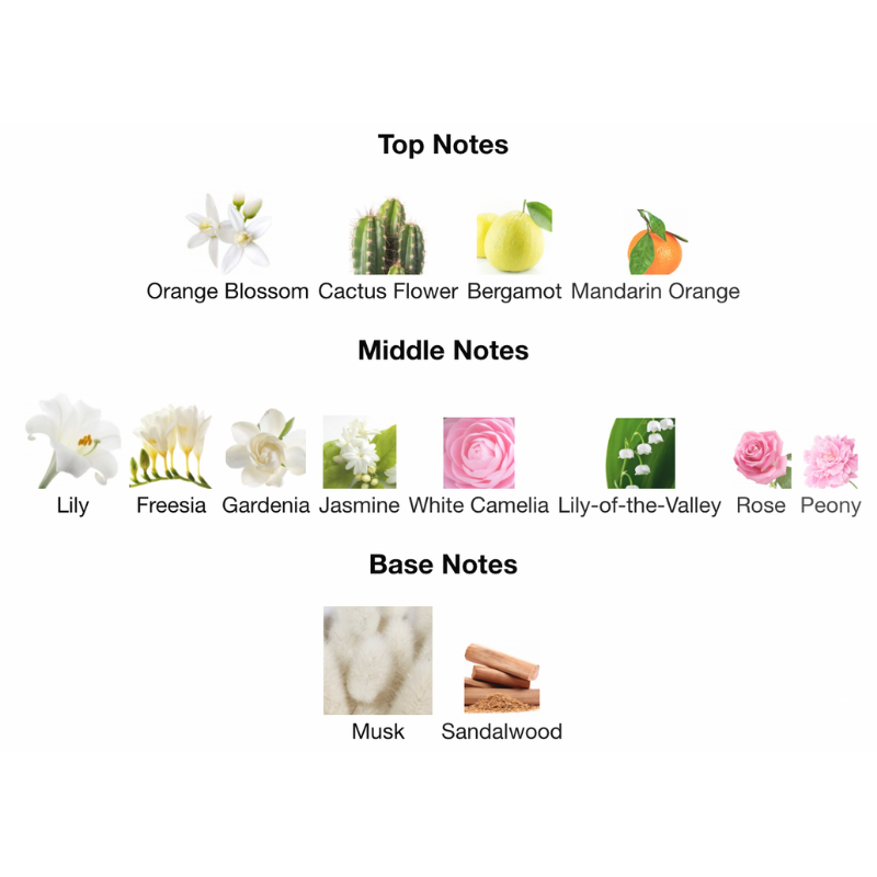 212 Eau De Toilette Spray for Women (New Packaging) - Chic and Vibrant Fragrance with Floral, Musk, and Soft Woodsy Notes, Stylish and Modern Bottle Design