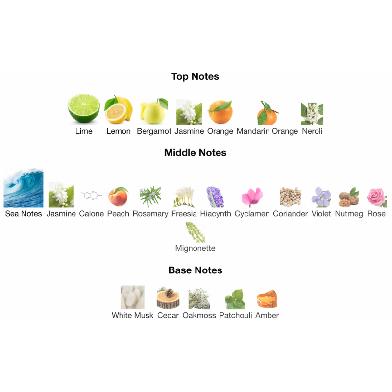 Acqua Di Gio Eau De Toilette Spray By Giorgio Armani