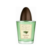 Acqua Di Pino Fougere Eau De Toilette Spray By Pino Silvestre