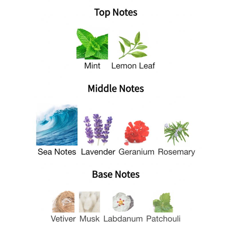 Acqua Essenziale Eau De Toilette Spray By Salvatore Ferragamo