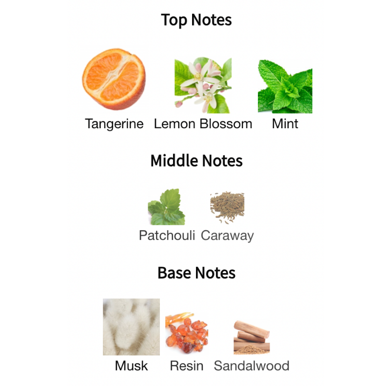 Baldessarini Eau De Cologne Concentree Spray By Hugo Boss