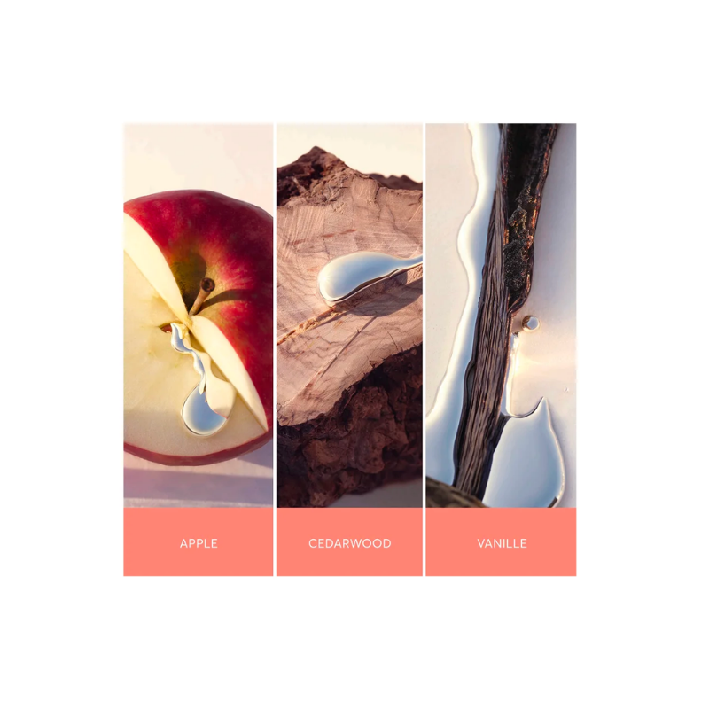 Boss Alive Eau De Parfum By Hugo Boss