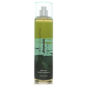 Aeropostale Amber & Eucalyptus