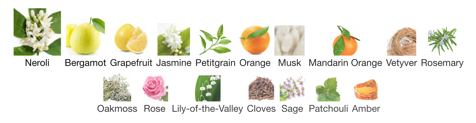 Acqua Di Parma Colonia Essenza Eau De Cologne Spray (Tester)