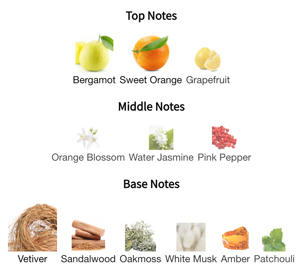 Aigner First Class Executive Eau De Toilette Spray By Etienne Aigner