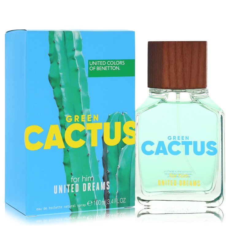 United Dreams Green Cactus