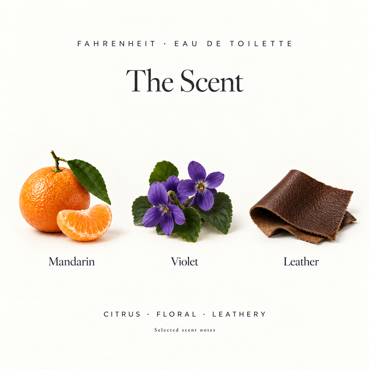 Fahrenheit Eau De Toilette Spray By Christian Dior