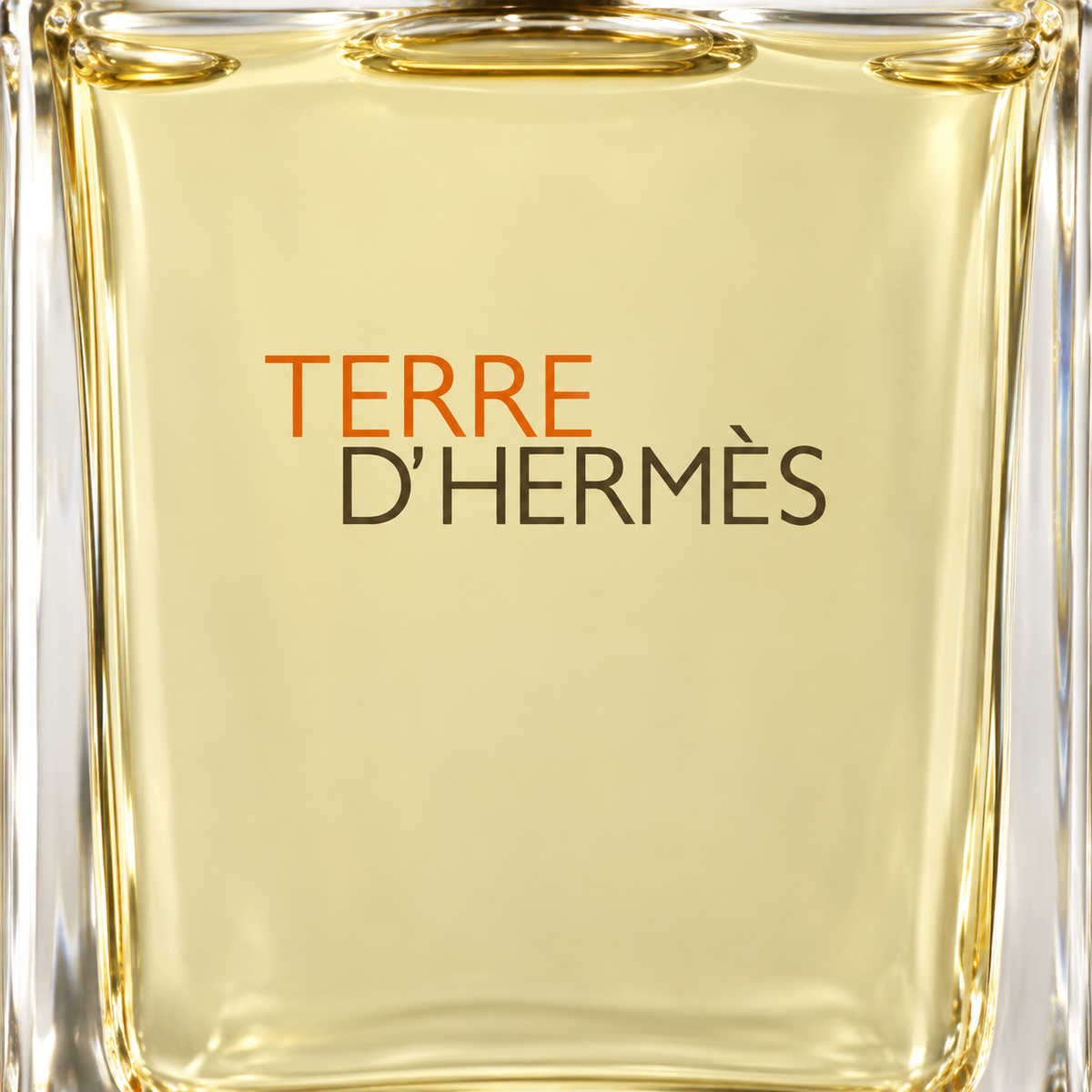 Terre D'hermes Eau De Toilette Spray By Hermes