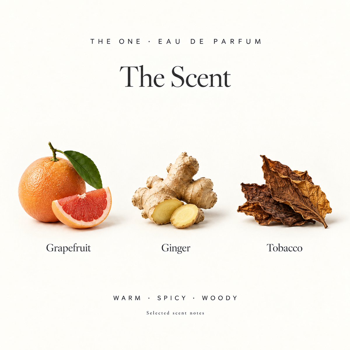 The One Eau De Parfum By Dolce & Gabbana