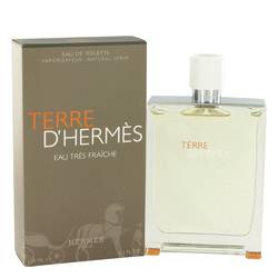 Terre D&